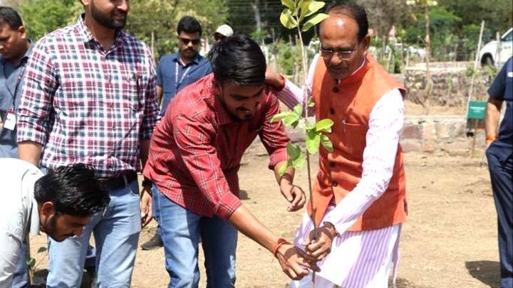 मुख्यमंत्री श्री चौहान ने नीम, अमरूद और आँवला के पौधे रोपे